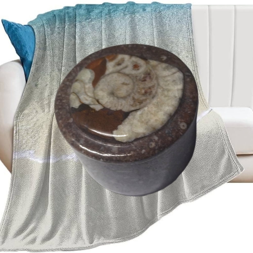 .Ammonite Fossil" on the Trinket Box's Lid. - Picture 3 of 4